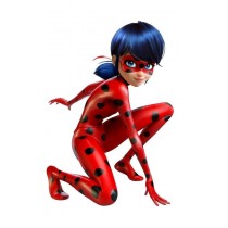 Super silhueta Ladybug