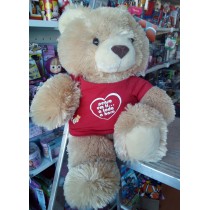 Urso De Peluche Com Tshirt