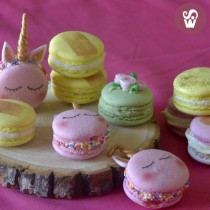 WS Macarons 500grs