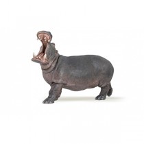PAPO Hipopótamo