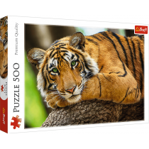 Trefl Puzzle Tigre 500 peças