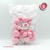 WS Bolas Decorativas Rosa 20pcs
