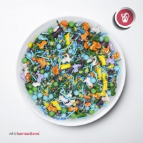WS Mix Dinossauros 65g