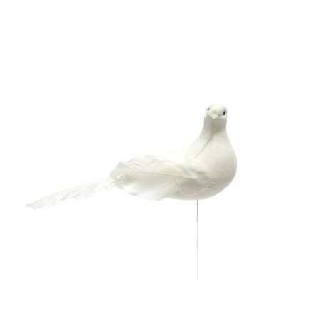 Pomba Branca 25 cm