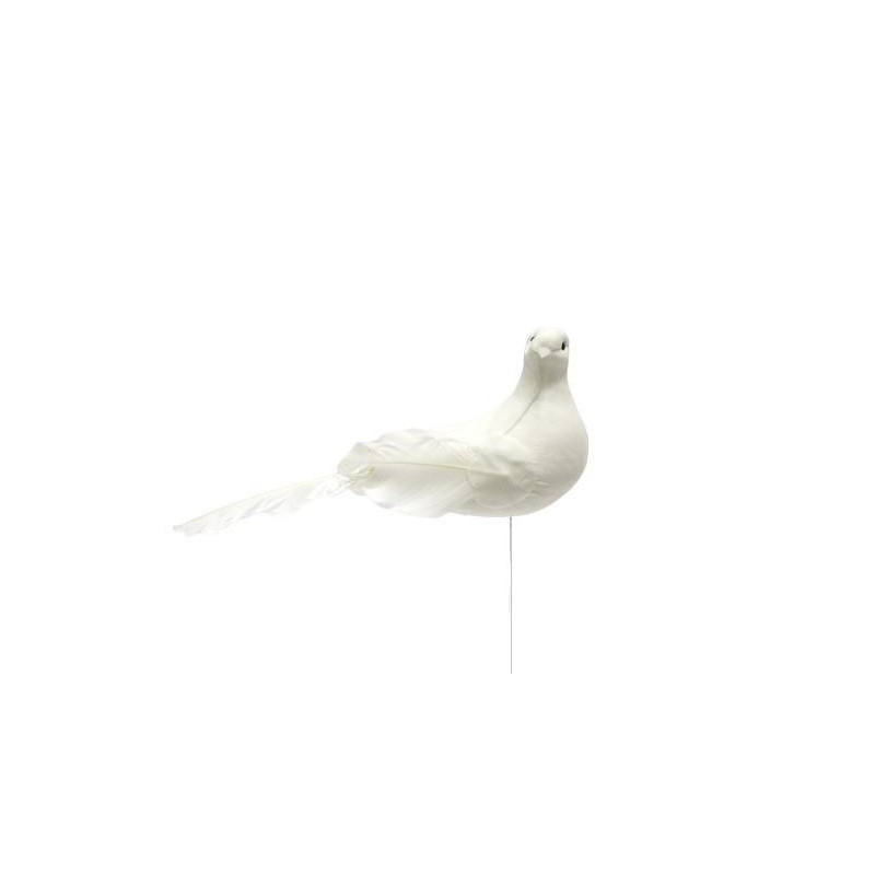 Pomba Branca 25 cm